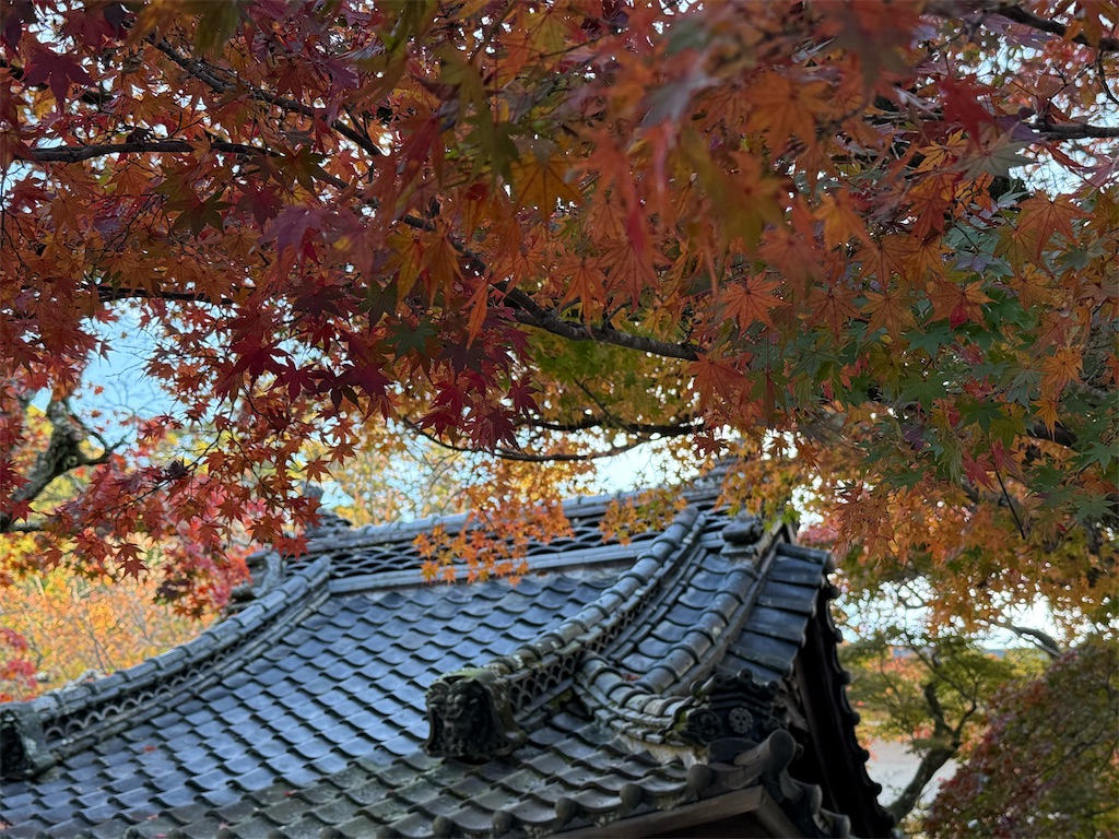f:id:camper_bakkasu:20251130111252j:image