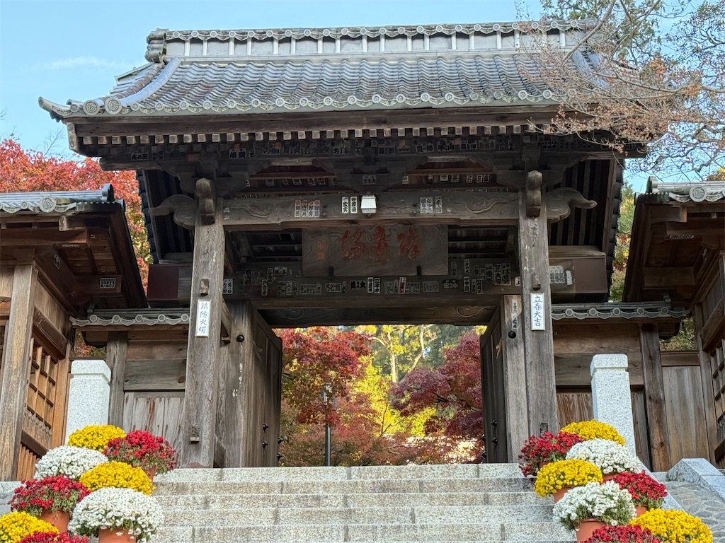 f:id:camper_bakkasu:20251130111255j:image