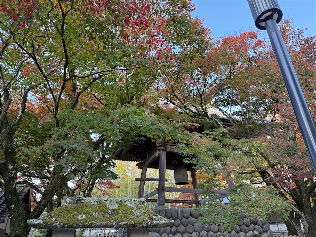 f:id:camper_bakkasu:20251130111301j:image