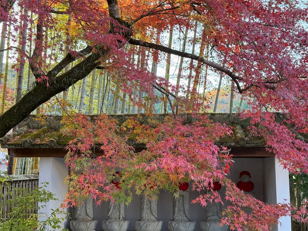 f:id:camper_bakkasu:20251130111351j:image