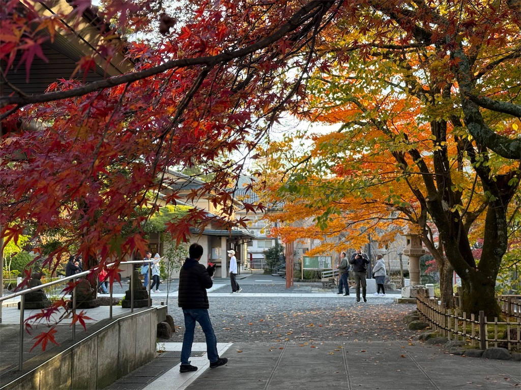 f:id:camper_bakkasu:20251130111355j:image