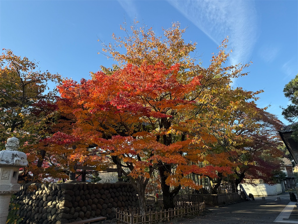 f:id:camper_bakkasu:20251130111513j:image