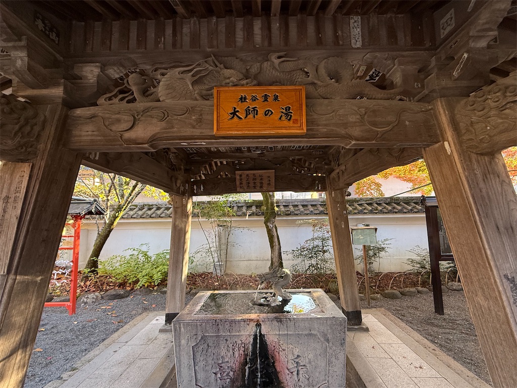 f:id:camper_bakkasu:20251130111606j:image