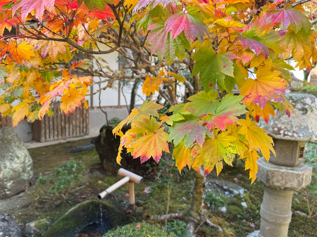 f:id:camper_bakkasu:20251130112020j:image