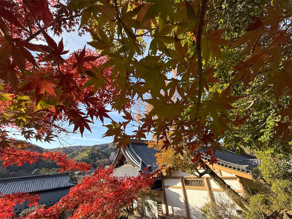 f:id:camper_bakkasu:20251130112122j:image