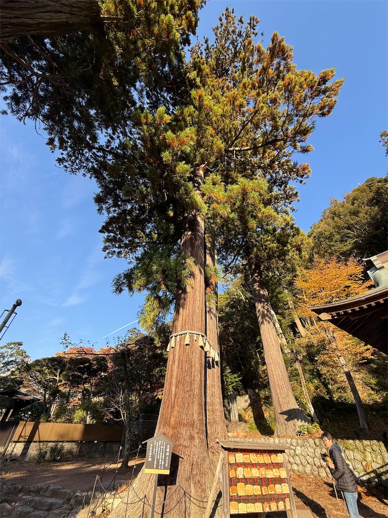 f:id:camper_bakkasu:20251130161239j:image