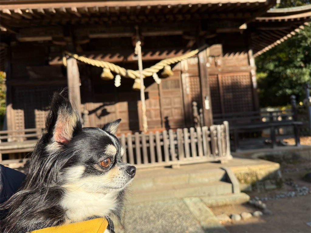 f:id:camper_bakkasu:20251130161306j:image