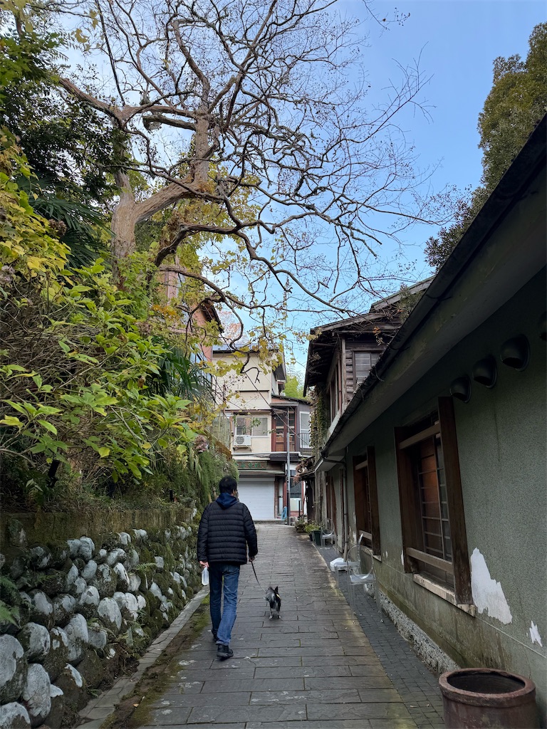 f:id:camper_bakkasu:20251130161409j:image
