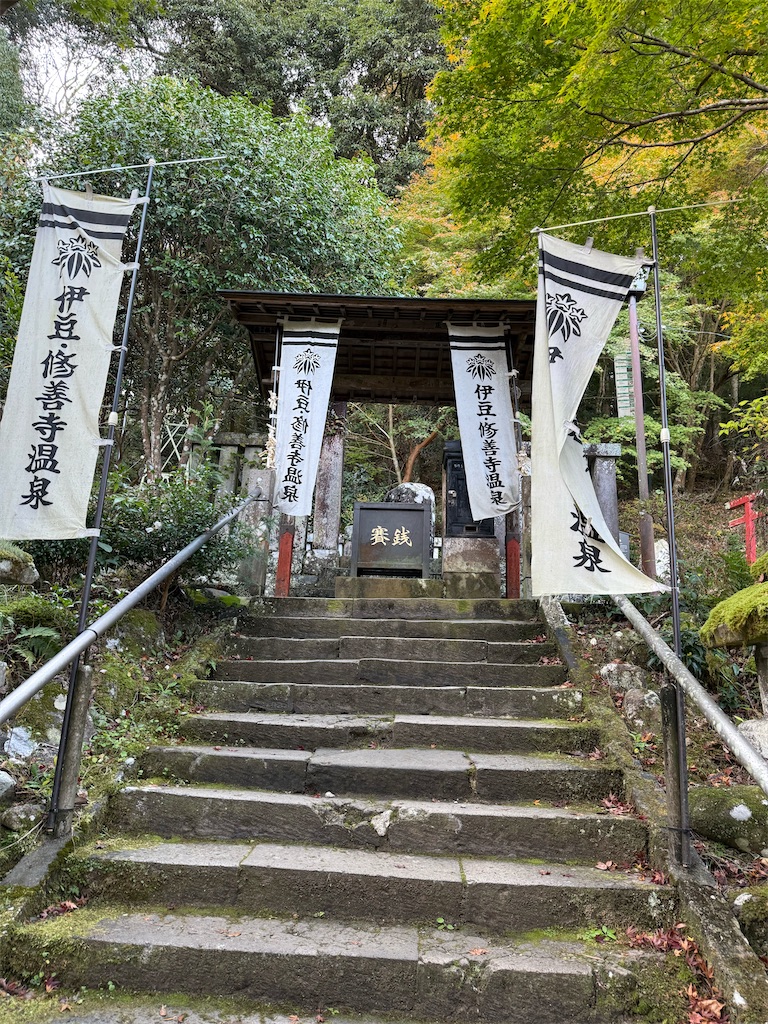 f:id:camper_bakkasu:20251130161440j:image