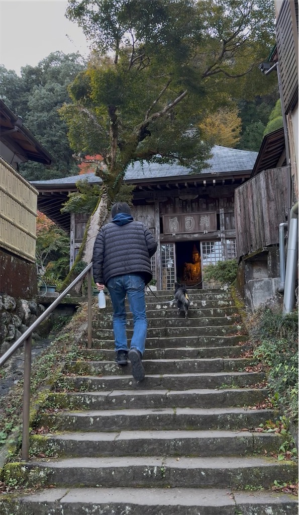 f:id:camper_bakkasu:20251130162254j:image