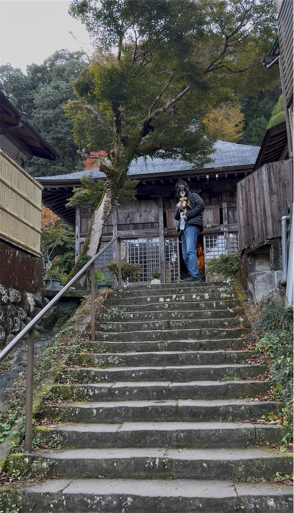 f:id:camper_bakkasu:20251130162642j:image