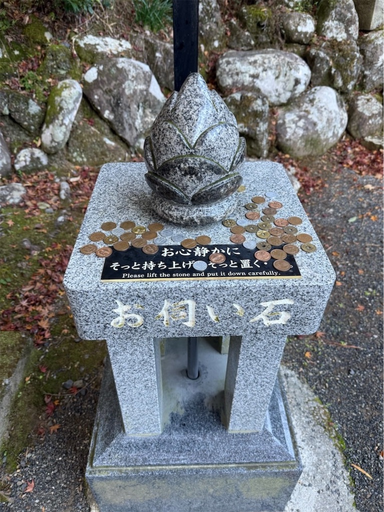 f:id:camper_bakkasu:20251130162657j:image
