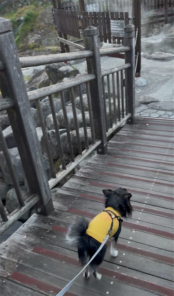 f:id:camper_bakkasu:20251201174233j:image