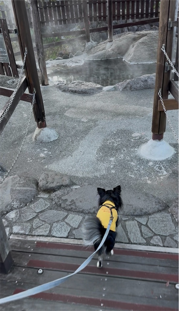 f:id:camper_bakkasu:20251201174245j:image