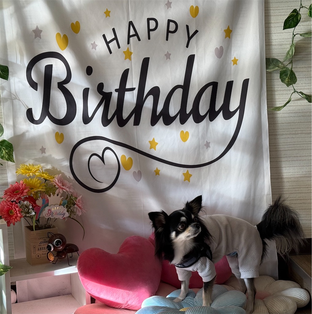 f:id:camper_bakkasu:20251205082404j:image