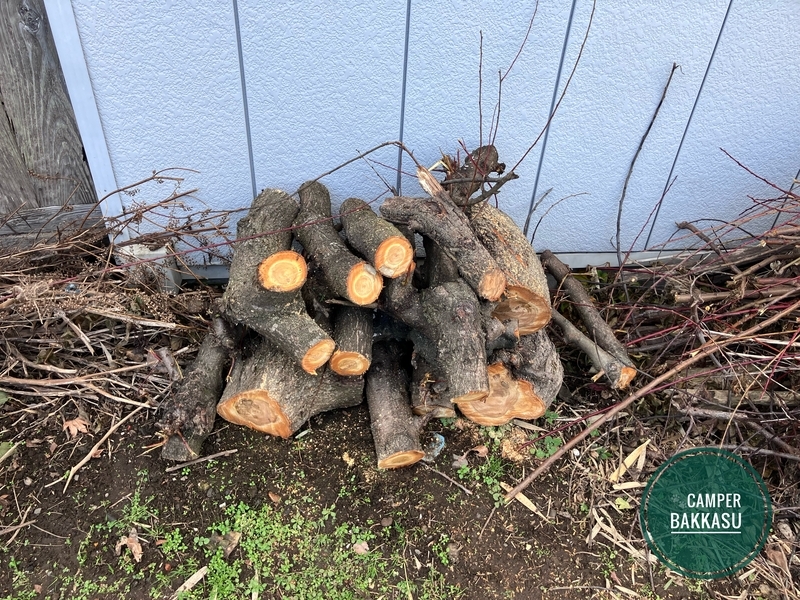 細かくカットした梅の木の幹