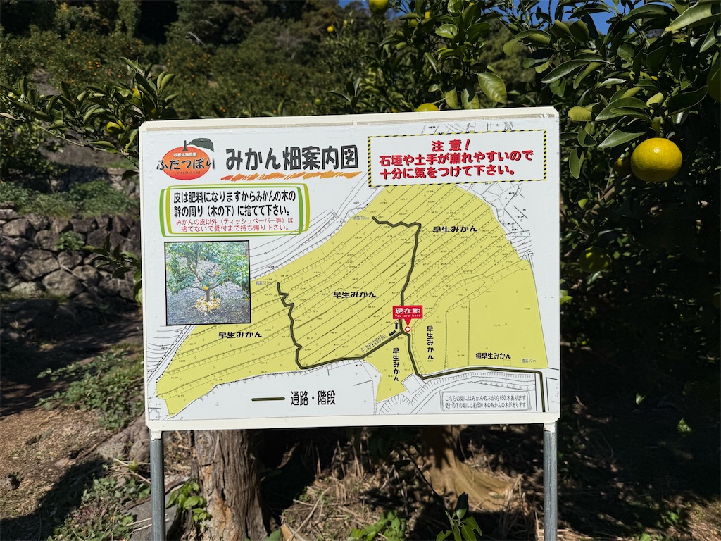 f:id:camper_bakkasu:20251208101744j:image