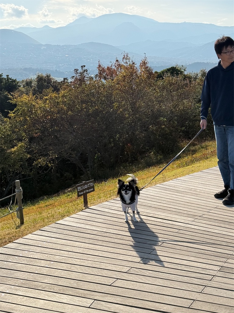 f:id:camper_bakkasu:20251208103209j:image