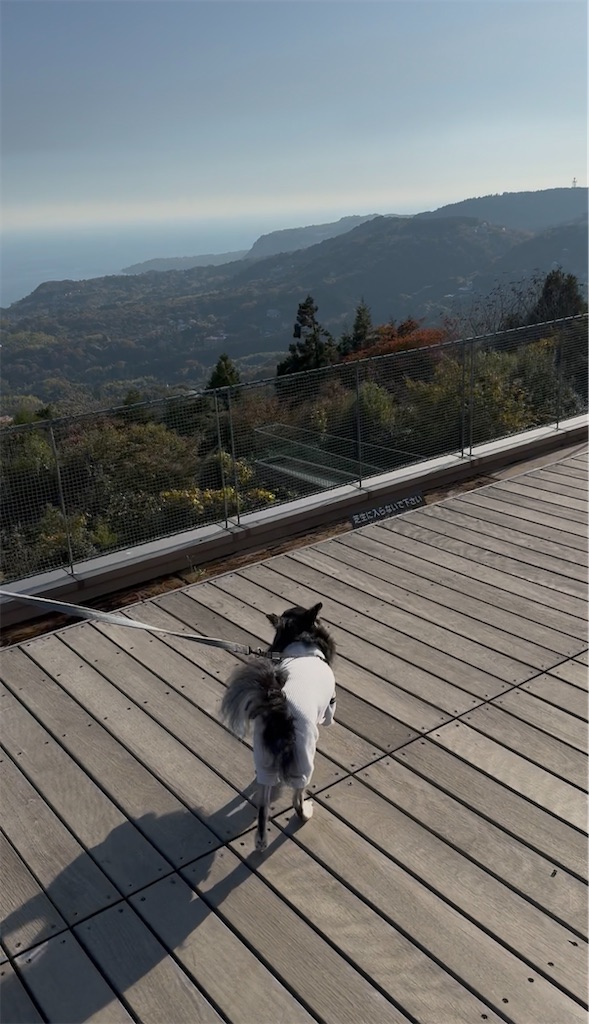 f:id:camper_bakkasu:20251208105455j:image