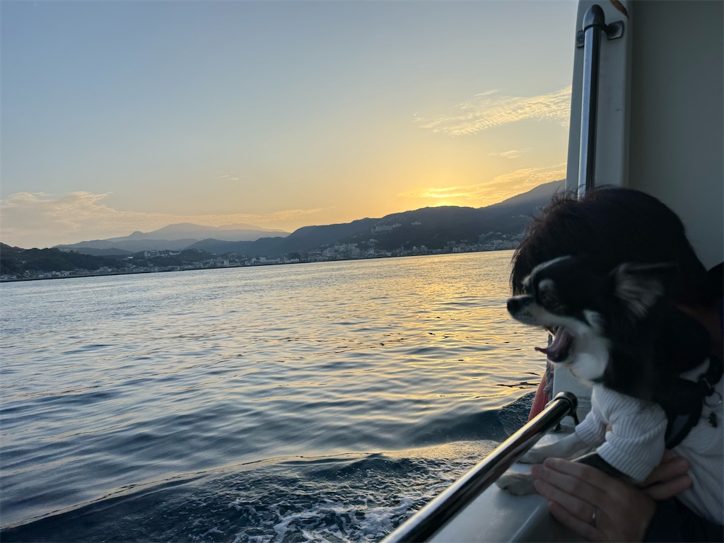 f:id:camper_bakkasu:20251208124009j:image