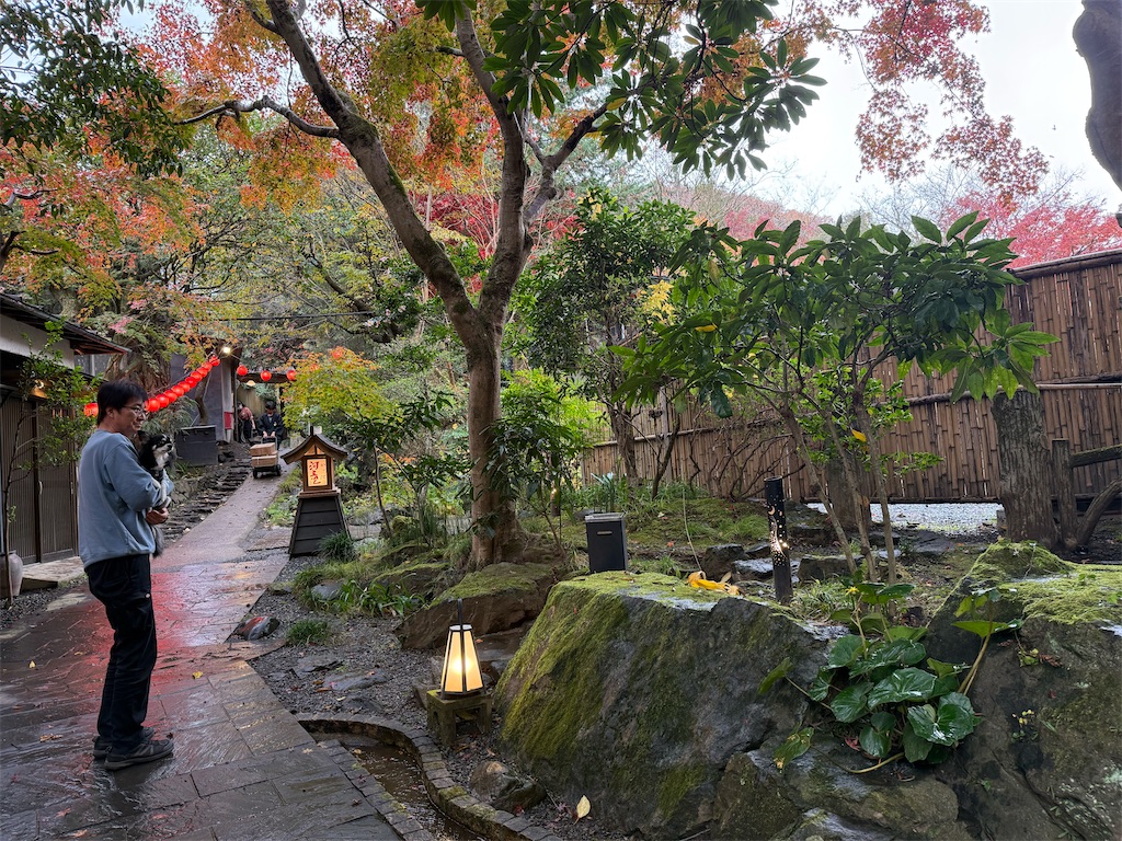 f:id:camper_bakkasu:20251214135603j:image
