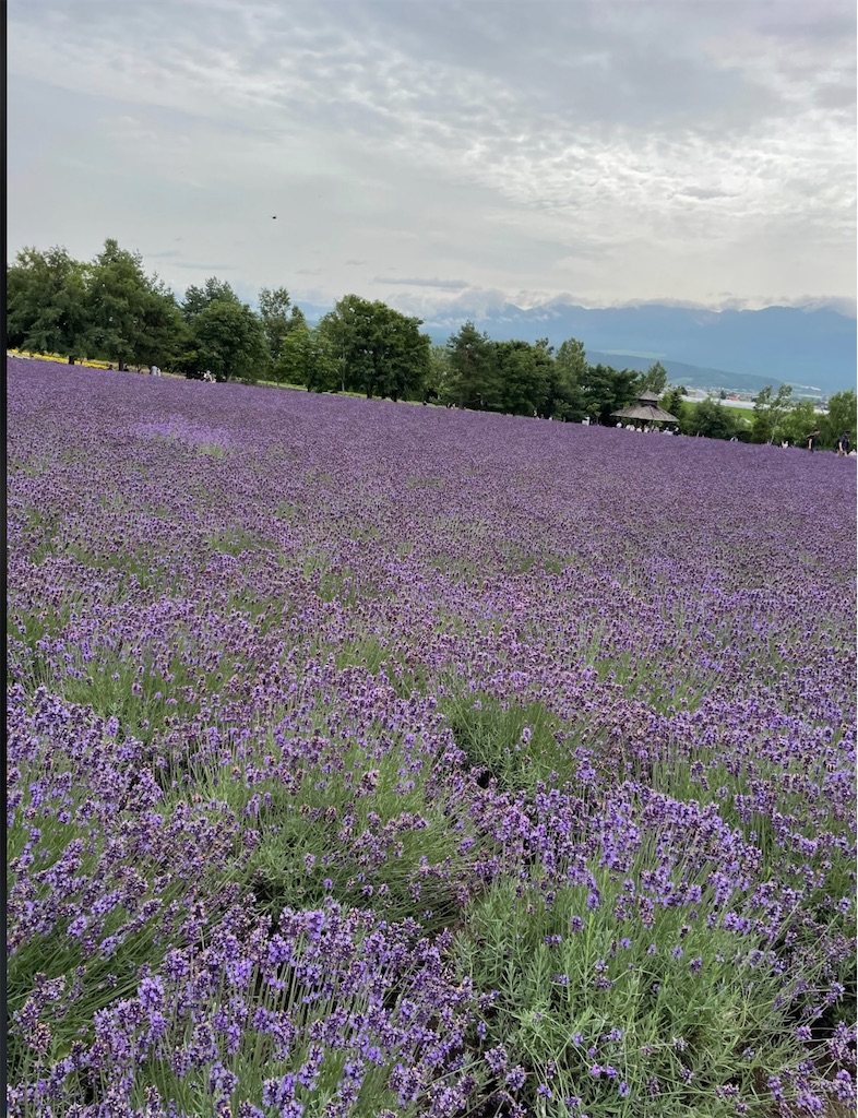 f:id:camper_bakkasu:20251218154851j:image