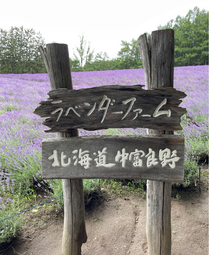 f:id:camper_bakkasu:20251218154911j:image