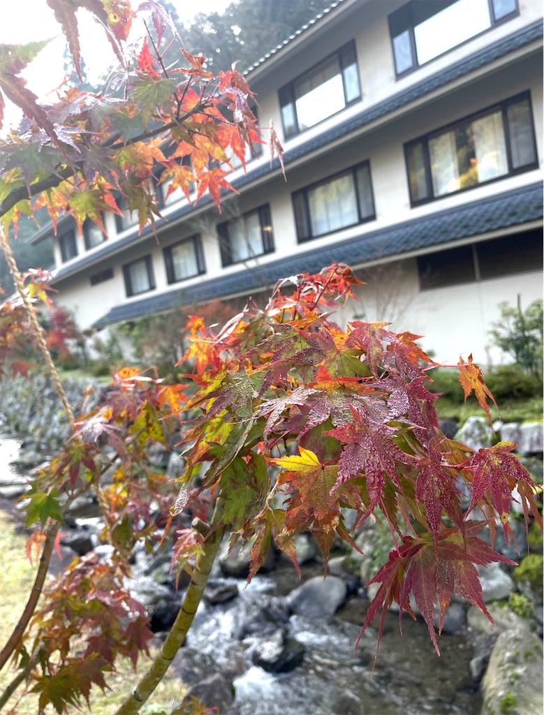 f:id:camper_bakkasu:20251220150247j:image f:id:camper_bakkasu:20251220150247j:image