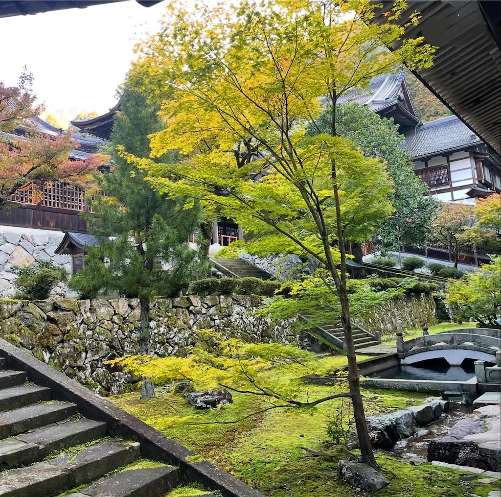 f:id:camper_bakkasu:20251220150255j:image f:id:camper_bakkasu:20251220150255j:image