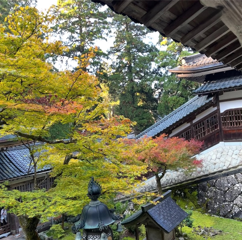 f:id:camper_bakkasu:20251220150408j:image f:id:camper_bakkasu:20251220150408j:image