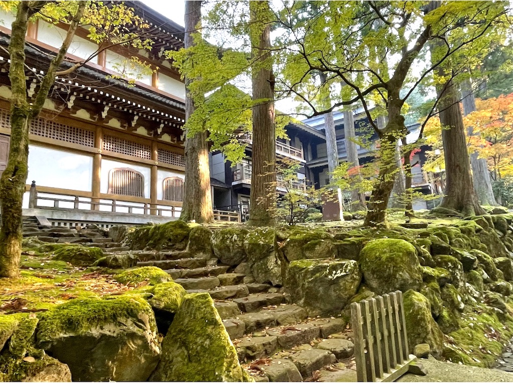 f:id:camper_bakkasu:20251220150705j:image f:id:camper_bakkasu:20251220150705j:image