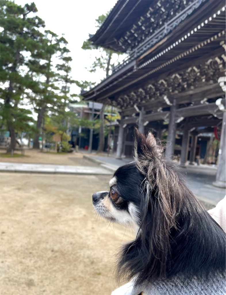 f:id:camper_bakkasu:20260108160729j:image