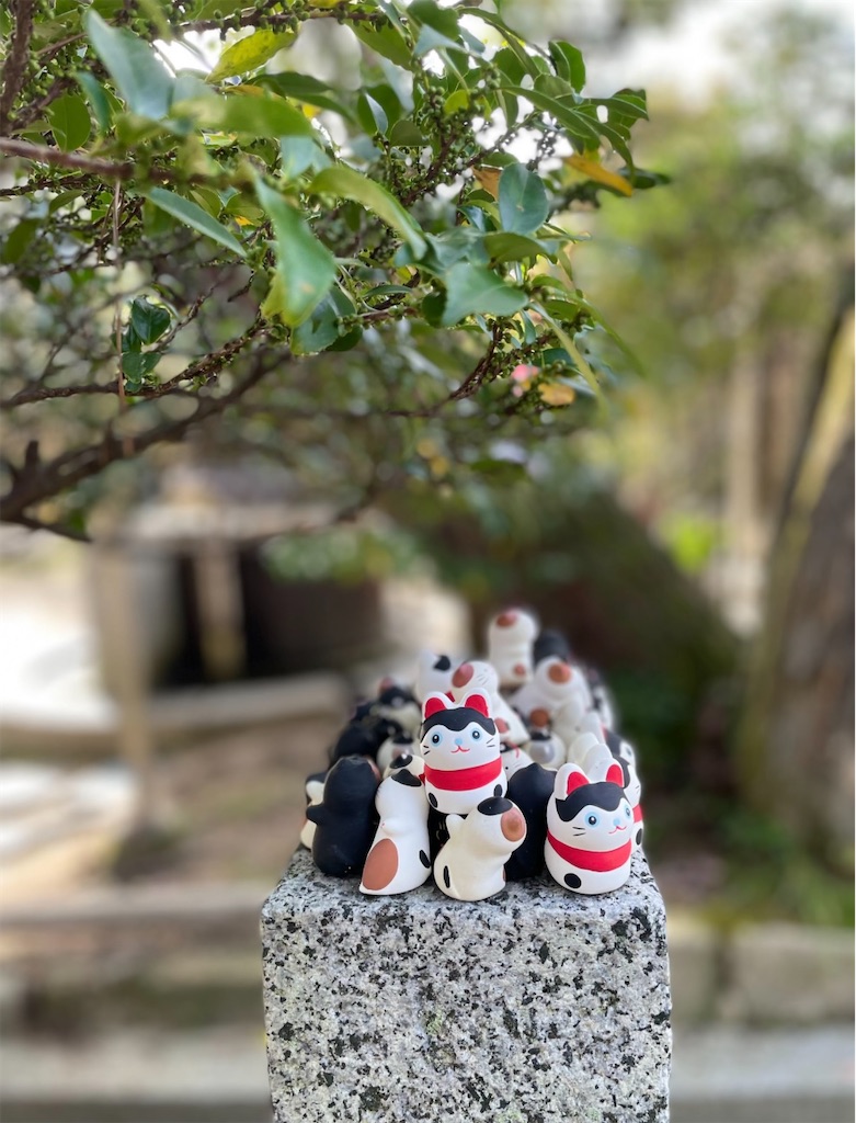 f:id:camper_bakkasu:20260108160813j:image