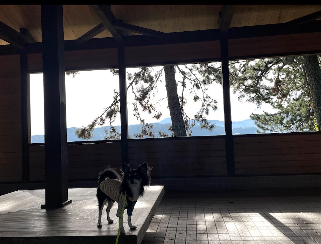 f:id:camper_bakkasu:20260108161025j:image