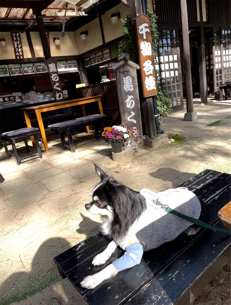 f:id:camper_bakkasu:20260108161148j:image