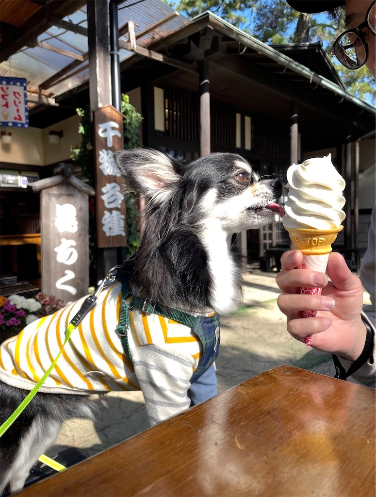 f:id:camper_bakkasu:20260108161201j:image