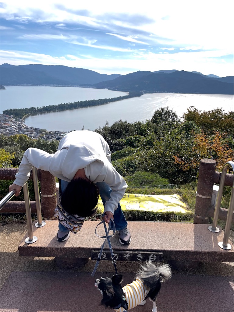 f:id:camper_bakkasu:20260110183616j:image