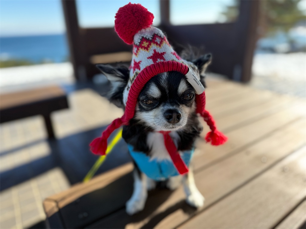 f:id:camper_bakkasu:20260115085554j:image