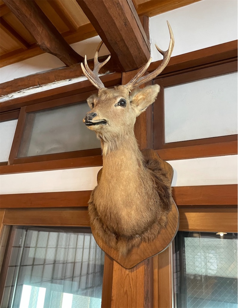 f:id:camper_bakkasu:20260118172914j:image