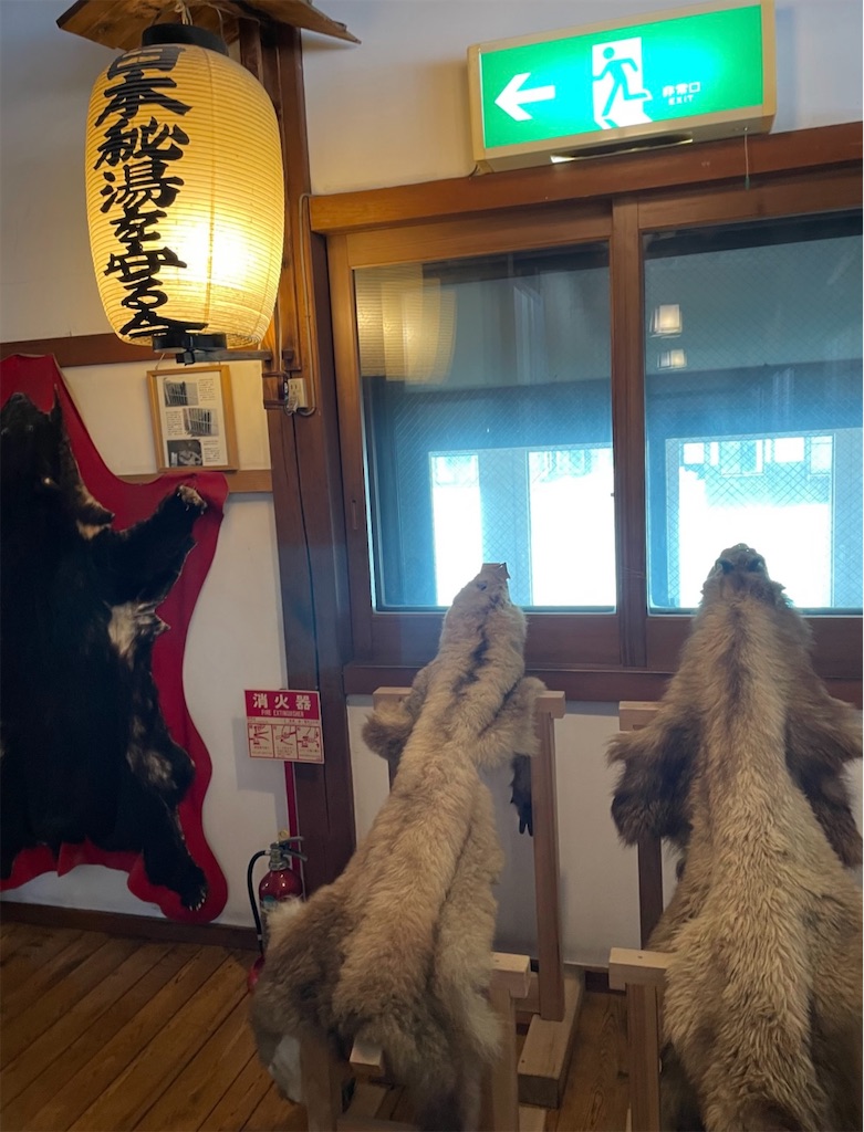 f:id:camper_bakkasu:20260118172945j:image