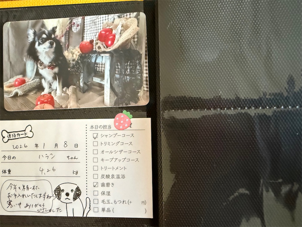 f:id:camper_bakkasu:20260120161515j:image