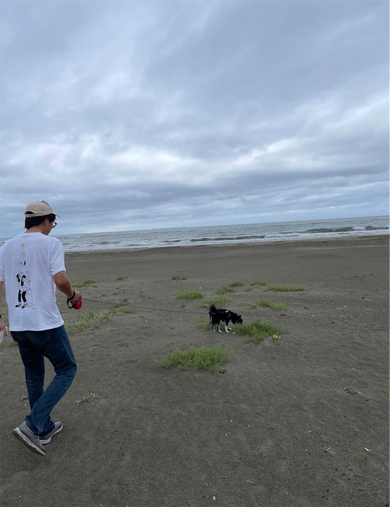 f:id:camper_bakkasu:20260120180920j:image