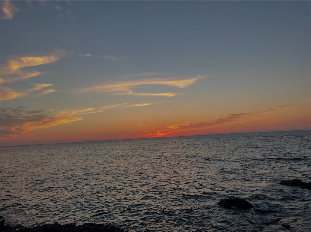 f:id:camper_bakkasu:20260124102945j:image