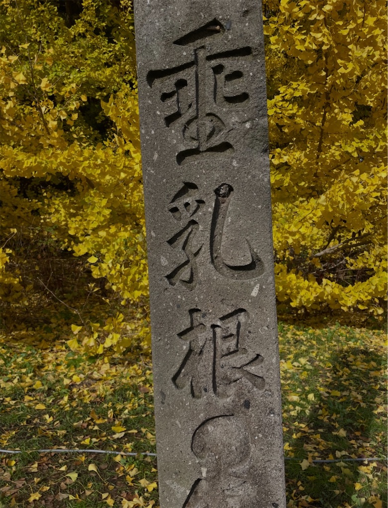 f:id:camper_bakkasu:20260126131929j:image