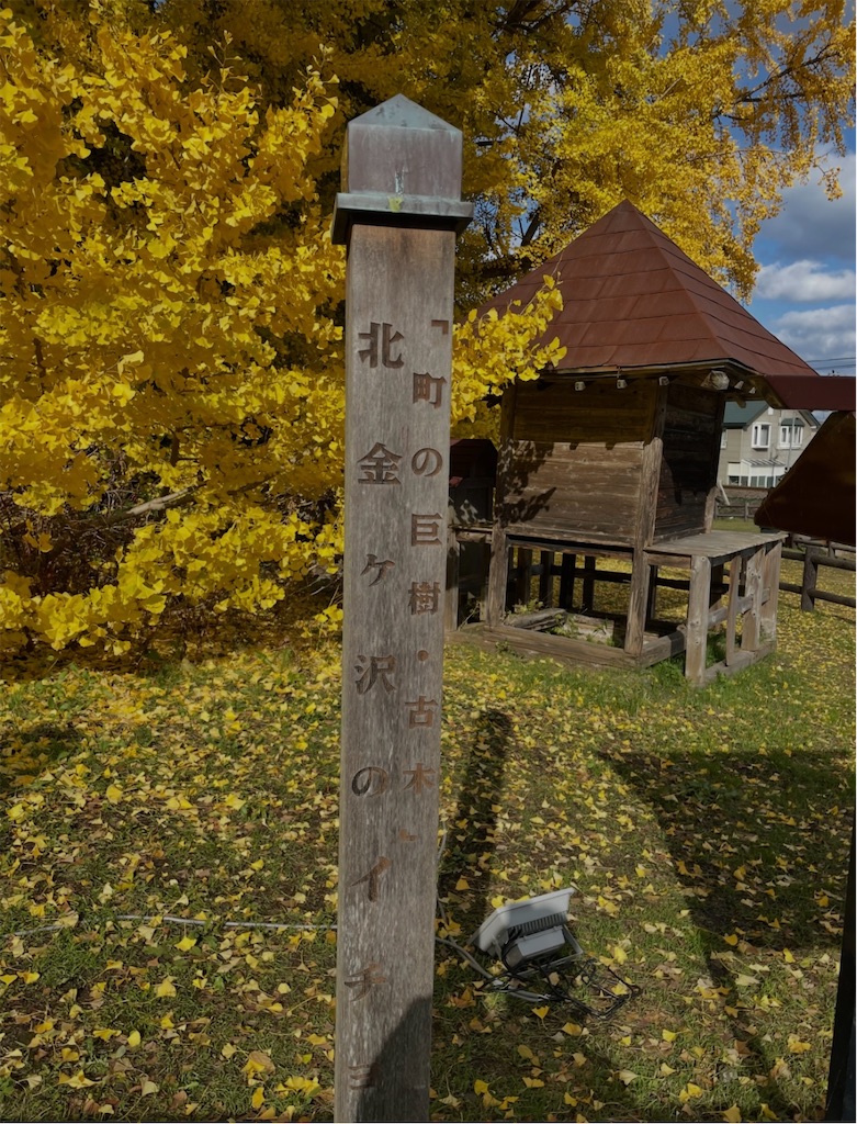 f:id:camper_bakkasu:20260126131950j:image