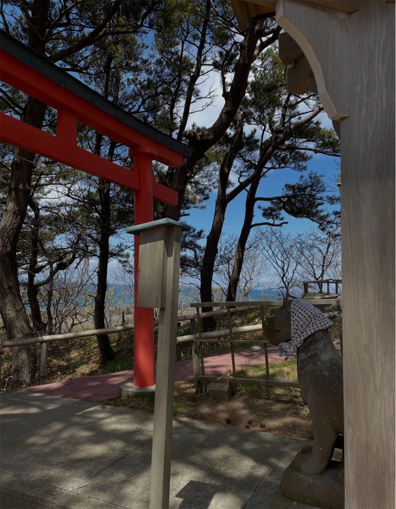 f:id:camper_bakkasu:20260128091102j:image f:id:camper_bakkasu:20260128091102j:image