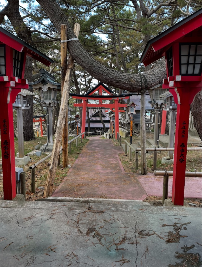f:id:camper_bakkasu:20260128091107j:image f:id:camper_bakkasu:20260128091107j:image
