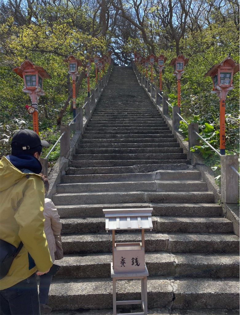 f:id:camper_bakkasu:20260128091119j:image f:id:camper_bakkasu:20260128091119j:image