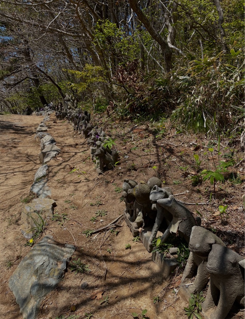 f:id:camper_bakkasu:20260128091145j:image f:id:camper_bakkasu:20260128091145j:image