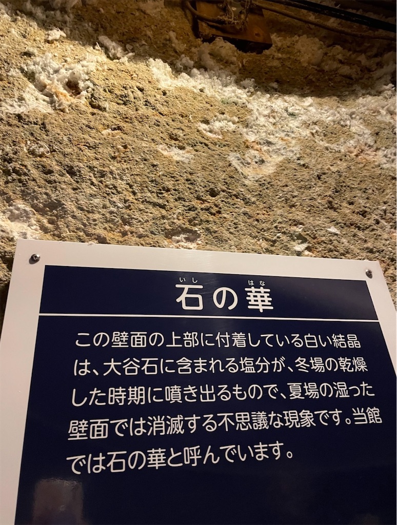 f:id:camper_bakkasu:20260129123337j:image